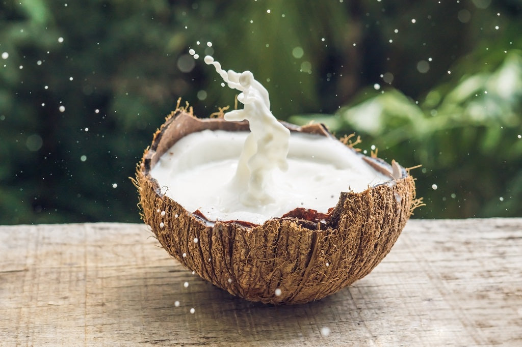 Coconut Milk - Coconut Products