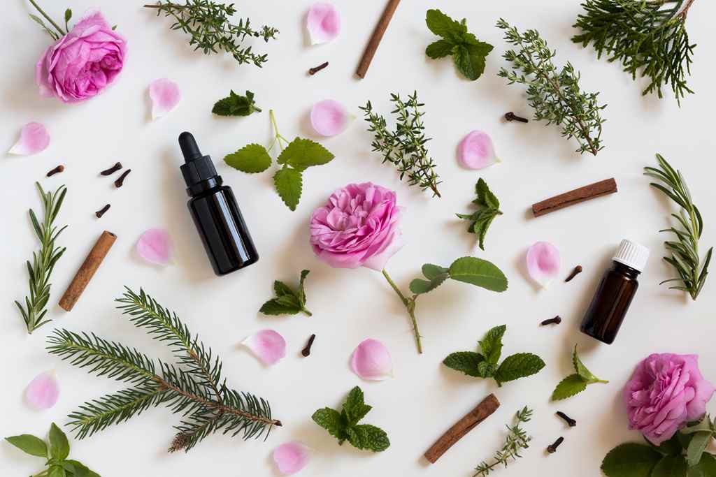 12 versatile essential oils to have! - Young Living Blog Hong Kong