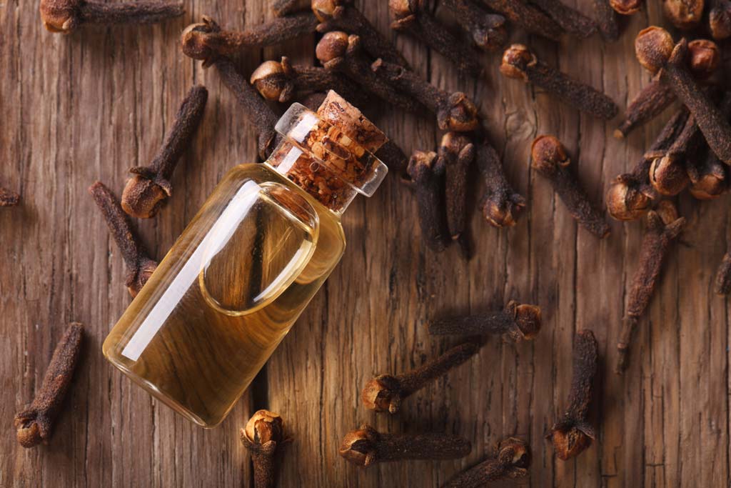 Unpredictable Side Effects Precautions of Clove Oil