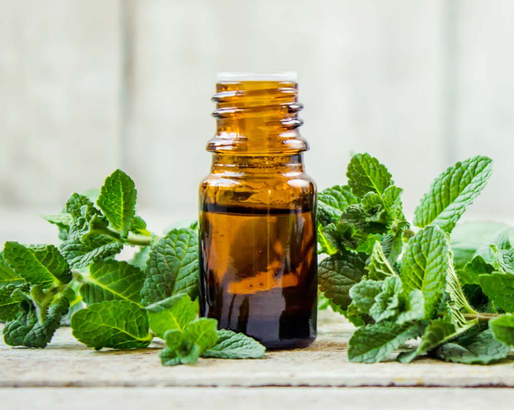 Peppermint oil uses and benefits for beauty, health and home
