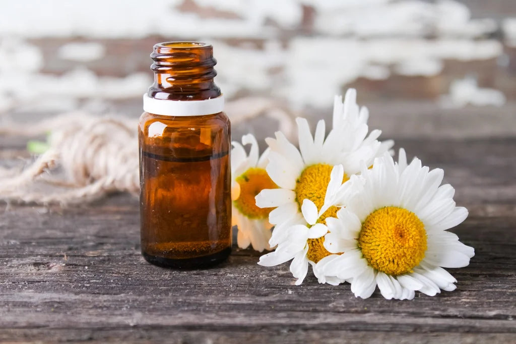 Anthemis nobilis oil( Roman Chamomile Oil )