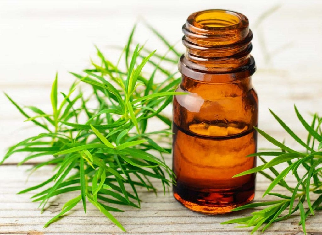 8 Benefits of Tea Tree Oil