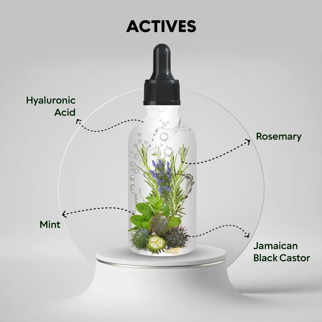Rosemary Mint Hair Oil – RootBioTec HO & Peppermint for Growth & Scalp Care, 50ml