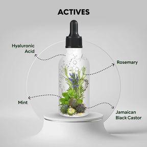 Rosemary Mint Hair Oil – RootBioTec HO & Peppermint for Growth & Scalp Care, 50ml